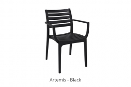 artemis001