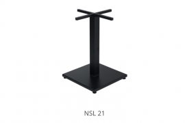 NSL-21